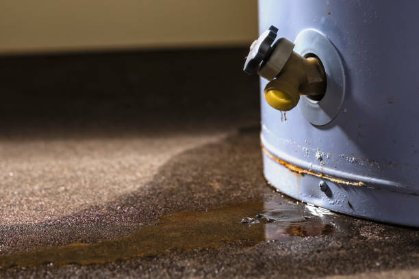Best Local water damage restoration  in Port Washington North, NY