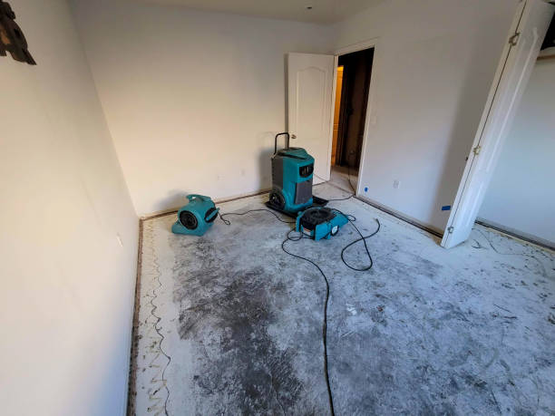 Best Water damage restoration services  in Port Washington North, NY