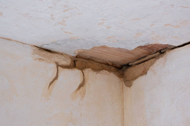 Best Basement water damage restoration  in Port Washington North, NY