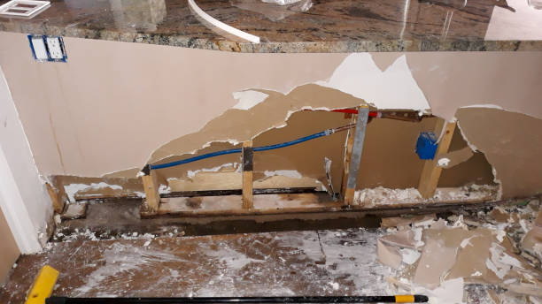 Best Mold removal after water damage  in Port Washington North, NY