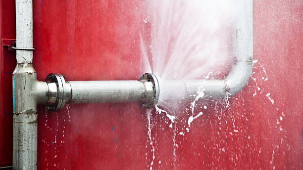 Best Flooded house restoration  in Port Washington North, NY