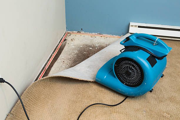 Best Water damage restoration experts  in Port Washington North, NY